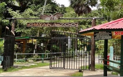 Impact of coronavirus… Guyana slowly grinds to a halt