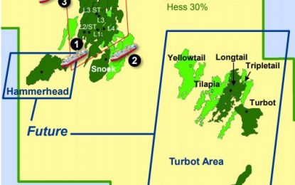 ExxonMobil pursues development of heavy oil at Stabroek Block’s Hammerhead well