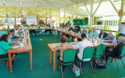 Ministerial task force established to address COVID-19