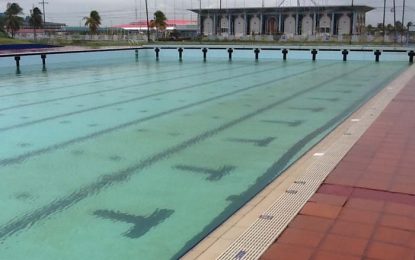 APNU+AFC agents commandeer Aquatic Centre, hostile to media