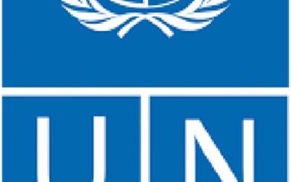 Guyana likely to see increase in case backlog due to insufficient judges, prosecutors – UNDP Report warns