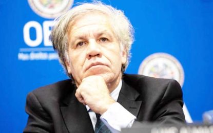OAS Secretary General requests meeting with Permanent Council to ‘deal with Guyana’s electoral process’