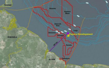Allowing Payara to go forward would be economically and environmentally disastrous for Guyana – German NGO