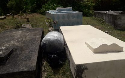 64 lbs of weed, 3 motorcycles found stashed among tombs