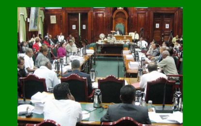 A penetrating analysis of the functioning of Guyana’s parliamentary system