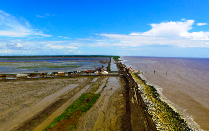 M’cony mangroves depleted; 500 meters of embankment exposed