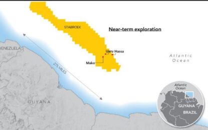 ExxonMobil to close aggressive 2020 drilling plans with another well on Stabroek block – Hess COO