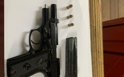 Gun, ammo discovered in young couple’s home