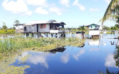 Scores of Pomeroon families battle flood waters