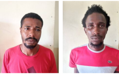 Bandits who stole motorcycle granted $50,000 bail each