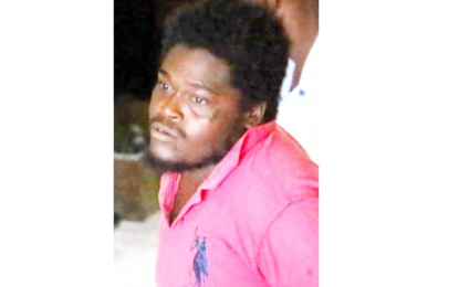 Man who had asked magistrate to shoot him, remanded for vagrant’s murder