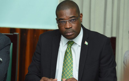 Lack of full coverage insurance exposes Guyana to bankruptcy—Patterson