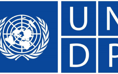 UNDP funding roadmap to develop Natural Resources Ministry