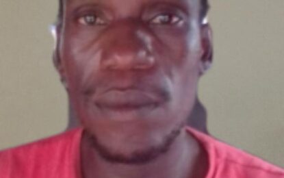 Man remanded for killing cousin’s ‘unsuitable’ boyfriend