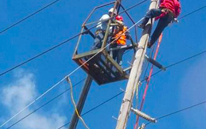 GPL failed to maintain transmission lines in past four years