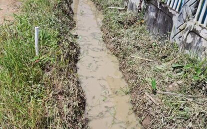 Floodwater recedes at Little Diamond due to major repairs conducted on dam