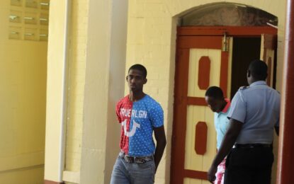 Teen chain snatcher granted bail