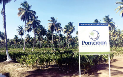 Pomeroon Trading Inc. looking to score big with Guyana’s coconut products