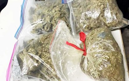 Pensioner to face charge for ganja trafficking