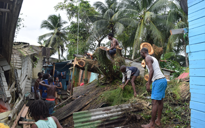 Tree falls and demolishes one home, damages two in Laing Avenue