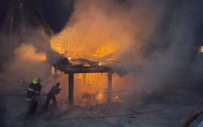 Elderly woman perishes in early morning Linden fire