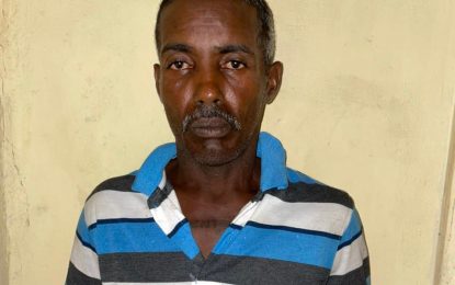 Man accused of raping, robbing pensioner $20,000 refused bail