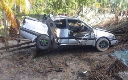 Speeding GDF rank dies in Hauraruni accident