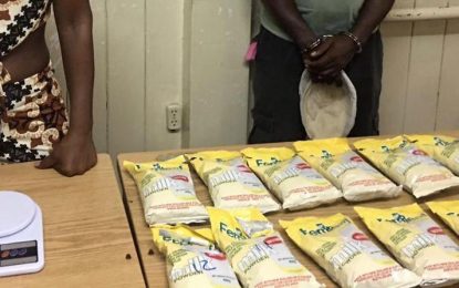 Passenger released after suspected cocaine turns out to be milk powder