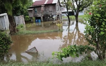 Govt. to build two eight-door sluices to prevent massive flooding in Regions 3 & 6