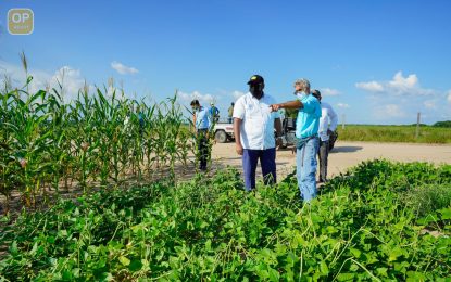 Guyana’s future is with agriculture, food sustainability—Pres. Ali