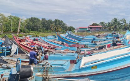 Fishing crisis continues despite MOA interventions