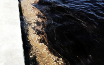 CDC says substance at Kingston seashore not crude oil