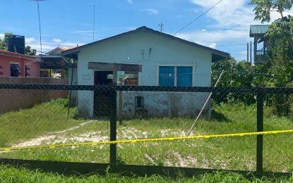 Boy,12, finds mother and stepfather dead