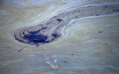 Wildlife habitat destroyed, beach closed as oil spill hits California