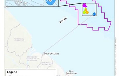 Guyana does not have market to utilise gas from fourth project – says export alternatives may be needed