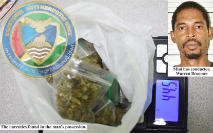 Bus conductor locked up for 44 grams of ganja