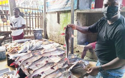 Declining fish catch triggers worry among local fishermen