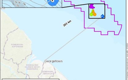 Govt. invites firms to review Exxon’s US$9B Yellowtail project