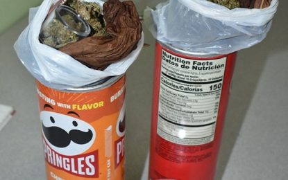 Man busted with ganja in Pringles tins at Ogle Airport