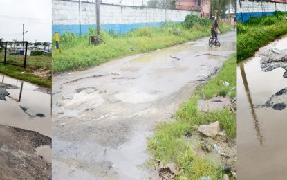 Residents complain of the deplorable state of Shirley Field Access Road