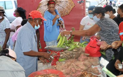 Govt. farmers’ market initiative kicks off at Lusignan