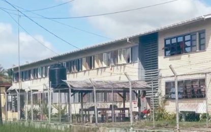 Cutlass-wielding man barges into Berbice school to fight student