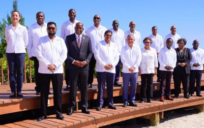 Pres. Ali tells CARICOM leaders of US$100M credit line for agriculture development