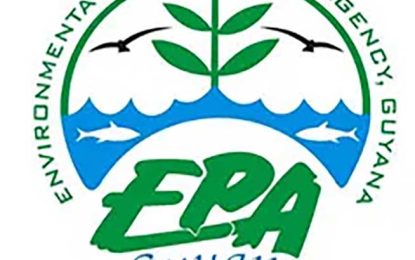 EPA responds to critics on Yellowtail approval