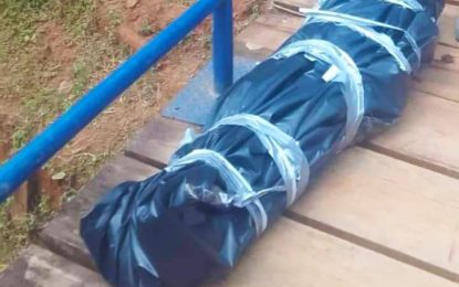 Lethem woman found hacked to death in Mazaruni Backdam – suspect denies murdering her