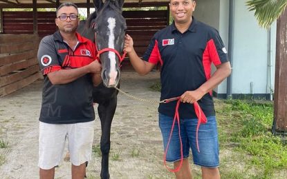 Surinamese Trainer Danny Gummels focuses on Jumbo Jet’s Guyana Cup 2022