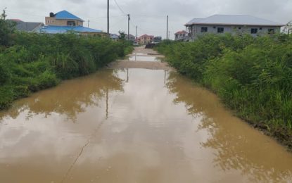 Phase Three of New Providence in dire need of attention – resident