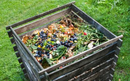 Composting at home for healthier kitchen gardens