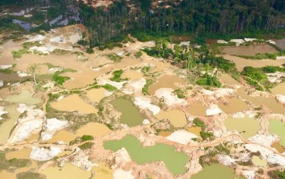 Mining operations locally account for 75% of deforestation in Guyana