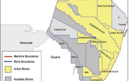 Relinquished portions of five oil blocks to be auctioned